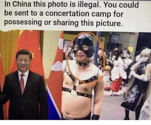 f0a77d09cb7ec12bc2e1cda06db5e7b8_500