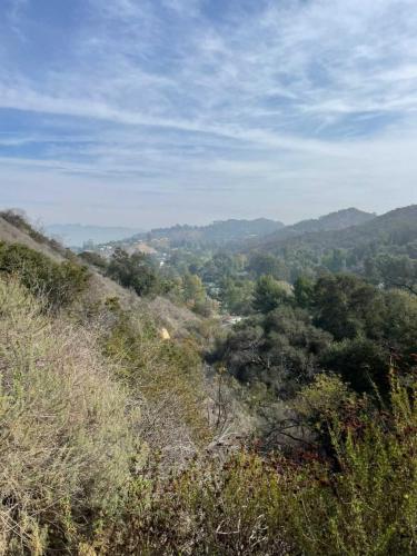 22:38:55 GMT-0600 (CST).image