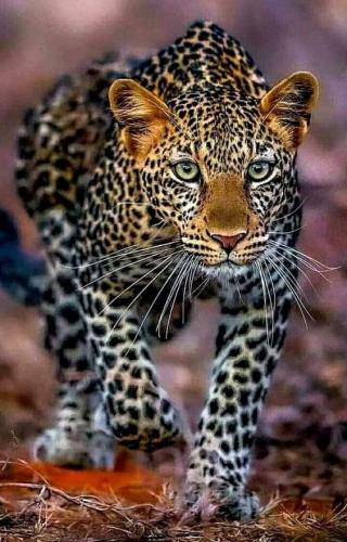 50bbcde08cbb5cafa9c97e0f95a5db10