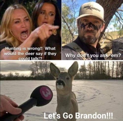 image_1637523997.173