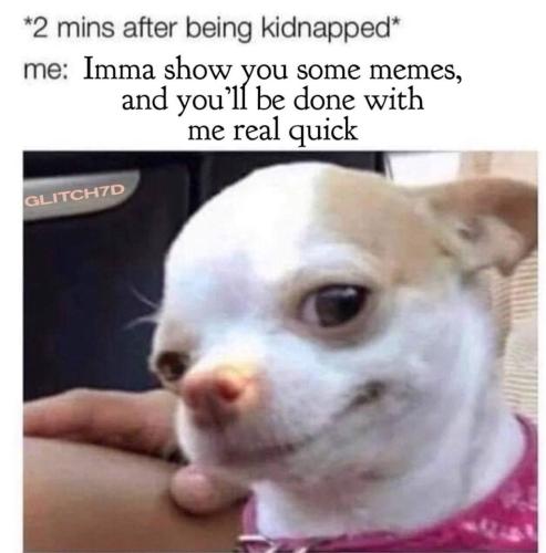 photo_2021-11-26_15-49-02