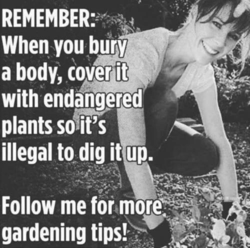 follow me for more gardening tips00