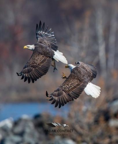 260465652_1534525720236392_2384825186265053752_n