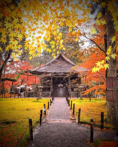 259207983_4510703792382051_969320868919577842_n