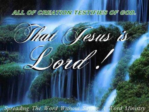 60737_385599861522151_543626428_n