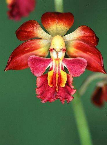 19:12:53 GMT-0600 (CST)