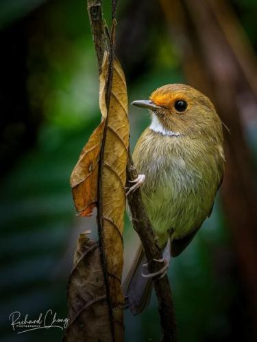 256209937_4680474741995626_1098084661402706123_n