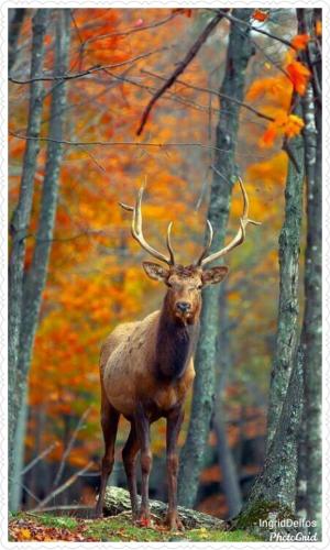 255502412_4389766041078059_4235435411982710393_n