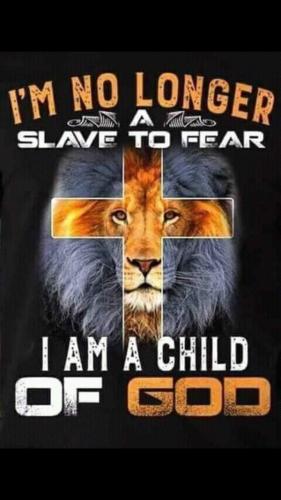 Screenshot_20211122-163438_Wimkin Uncensored