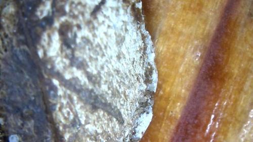 Buffer Dissolved Polymer Node Cap