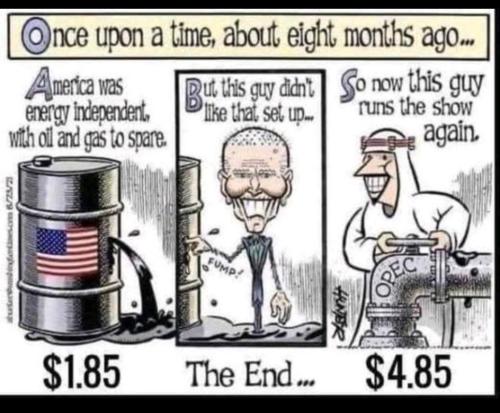 image_1638109203.369