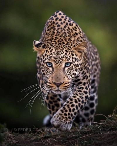 tumblr_c42592ffd6e6d6f0f89df5fe28ea6efe_ef391b8b_1280