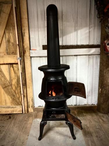 251042927_4407560659280656_5719182690851714183_n