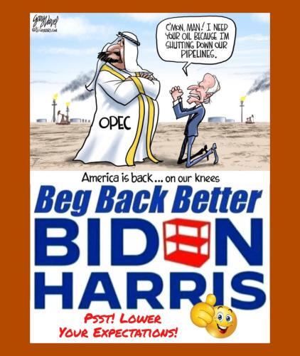 Political - Beg Back Better