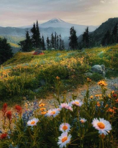 tumblr_7463a76c6f1cf14e5526f2b7012ddcb4_bb83b1a0_540