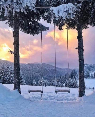 256050249_1260965544331153_6066746803834637932_n