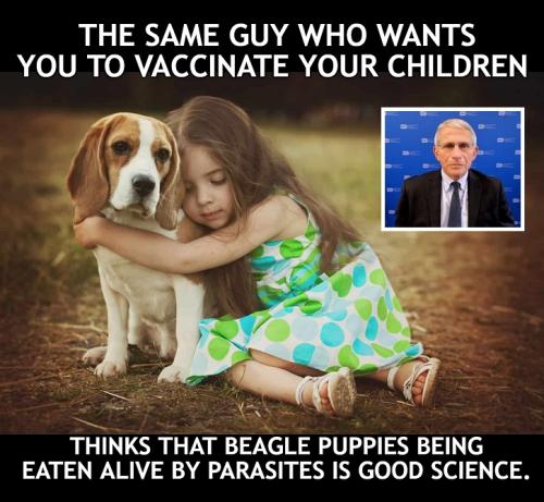 7b89f51d-9a7e-46dc-952c-889c5578a8c9