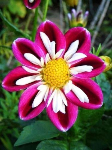 09:07:12 GMT-0600 (CST)