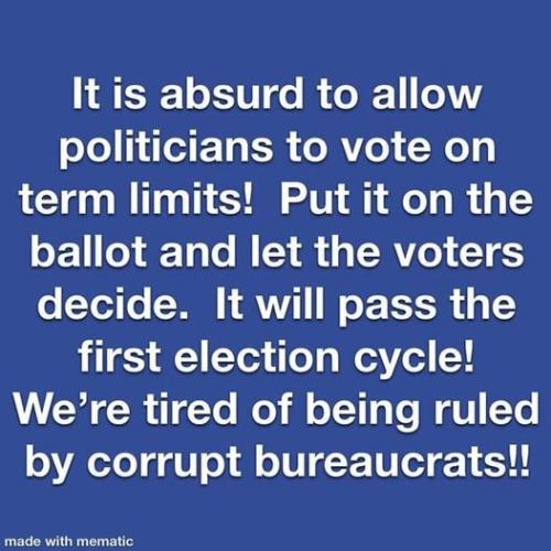 let the voters decide