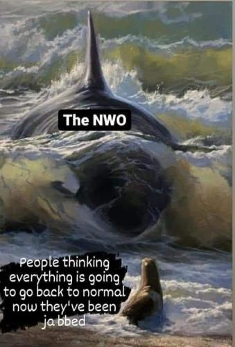 11:23:33 GMT-0500 (CDT)