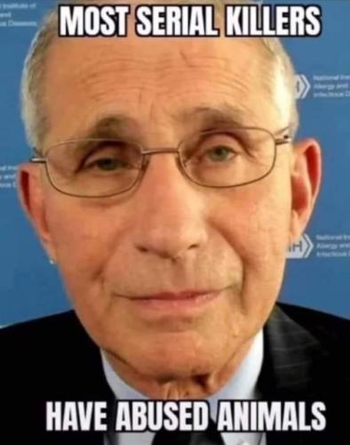 fauci147