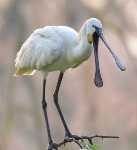 257554073_4691631564213277_6046268092797214580_n