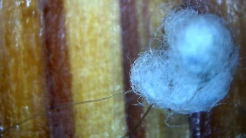 Solar Plexus Fiber Ball Mat