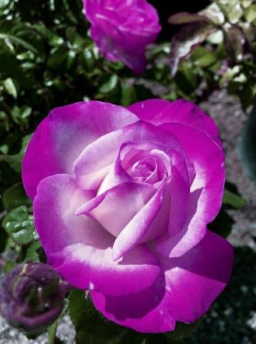 07:48:51 GMT-0500 (CDT)