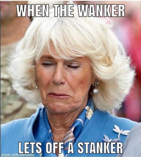 Screenshot_20211109-150658_DuckDuckGo