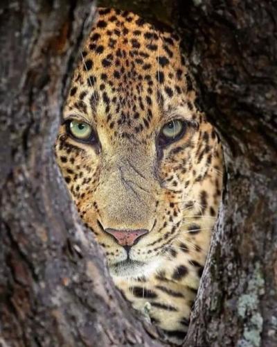 261606963_464502728386739_8286736949340573098_n