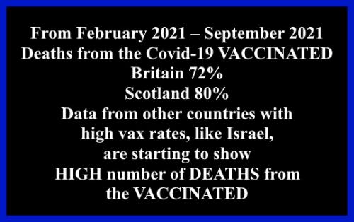 high vax rate deaths 2021