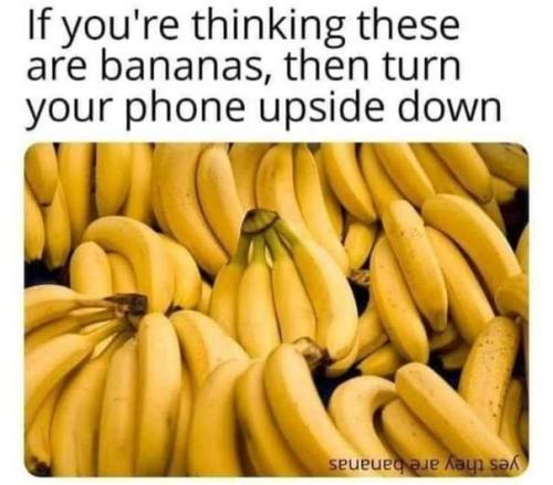 FB_IMG_1637473153338