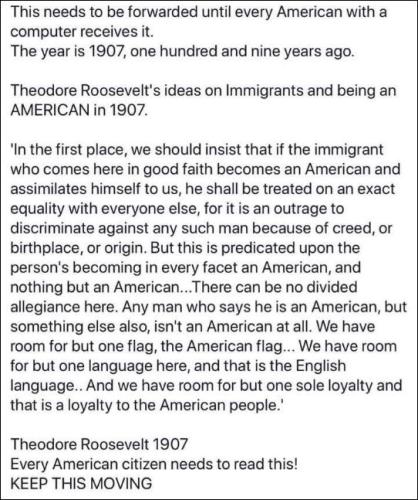illegal immigration259
