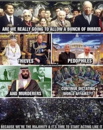 photo_2021-11-20_10-04-40