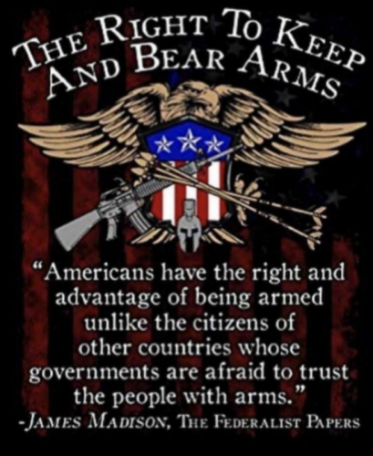 2nd ammendment rights