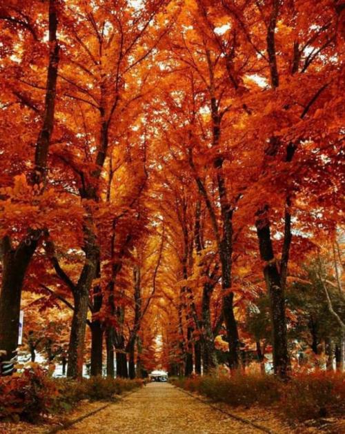 20:48:51 GMT+0100 (WAT)