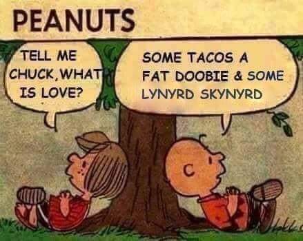 FB_IMG_1637608997707