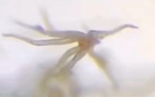 Screenshot_20211020-161813_Gallery