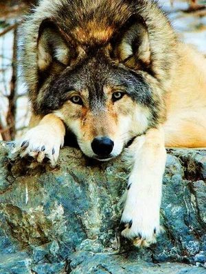 07:33:02 GMT-0600 (CST)