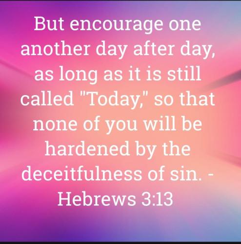 Screenshot_20211118-141142_Bible