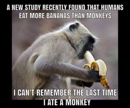 last_time_I_ate_a_monkey_funny