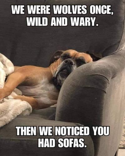 260072625_347556850470951_2289344654638539247_n