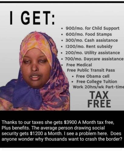tax free wi