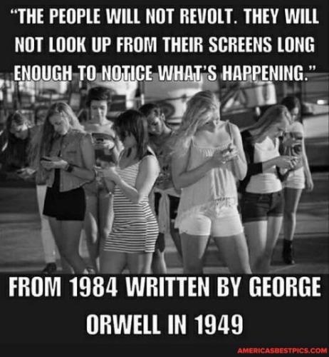 3B033570-A857-41E8-A1BF-D89BB94FE258-17791-00000BDD40701415