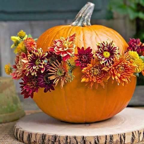 21430513_1972245733056769_7847884547991547004_n