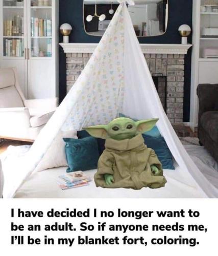 FB_IMG_1636296591664