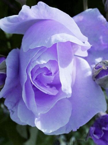 19:15:05 GMT-0600 (CST)