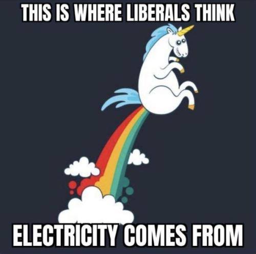 zlibtards257