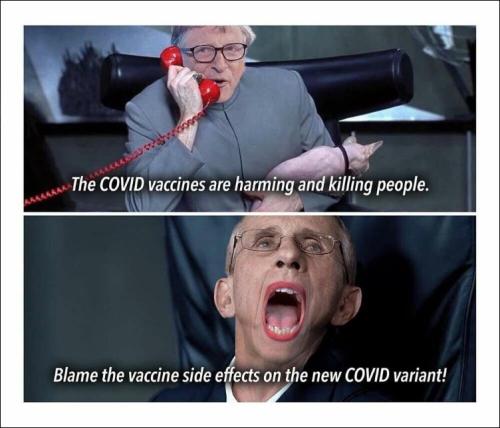 vaccine477