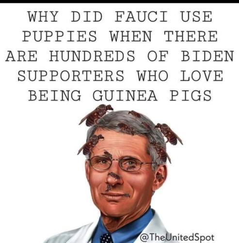 965f36d1-a9f1-4c5b-a785-6960a42b8902